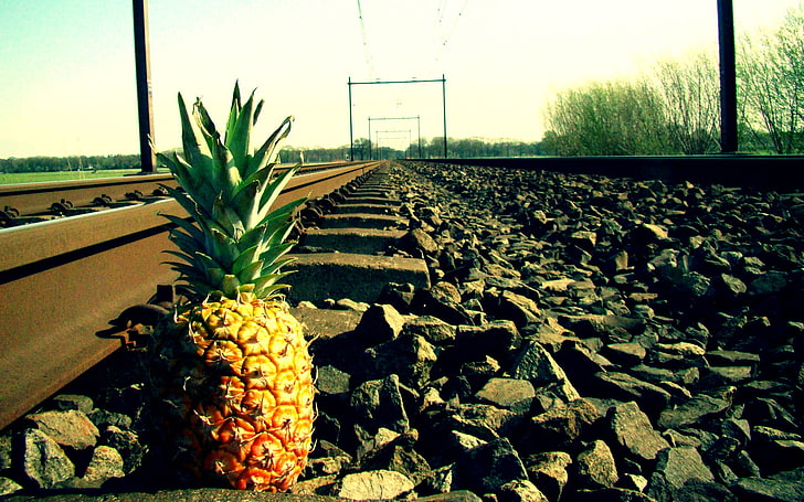 yellow and green pineapple fruit, pineapples, railway, stones