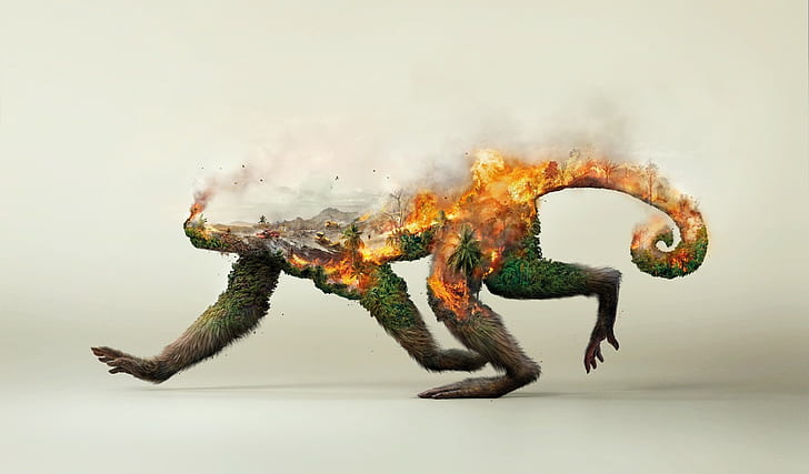 destruction, fire, forest, trees, monkey, artwork, double exposure