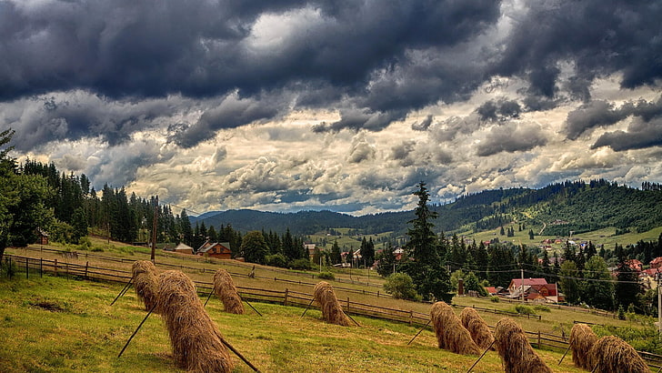mountain range, hay, ukraine, bukovel, carpathian mountains, HD wallpaper