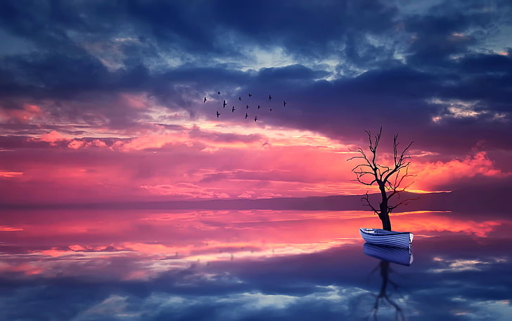 white jon boat, the sky, water, landscape, sunset, birds, nature, HD wallpaper