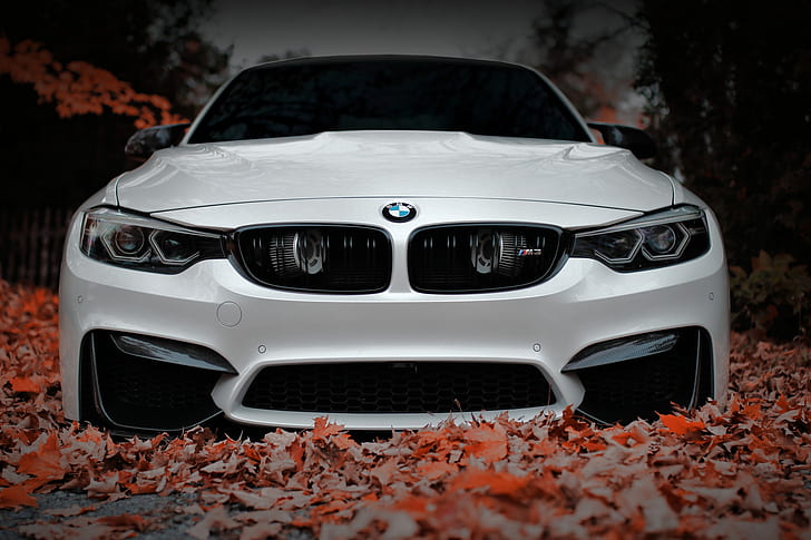HD wallpaper: BMW, Front, White, Autumn, Face, F80, Sight, Aggressive |  Wallpaper Flare