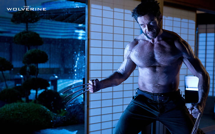 Hugh Jackman in The Wolverine, HD wallpaper