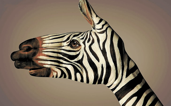Body Art, hands, zebras, simple background, striped, animal, HD wallpaper