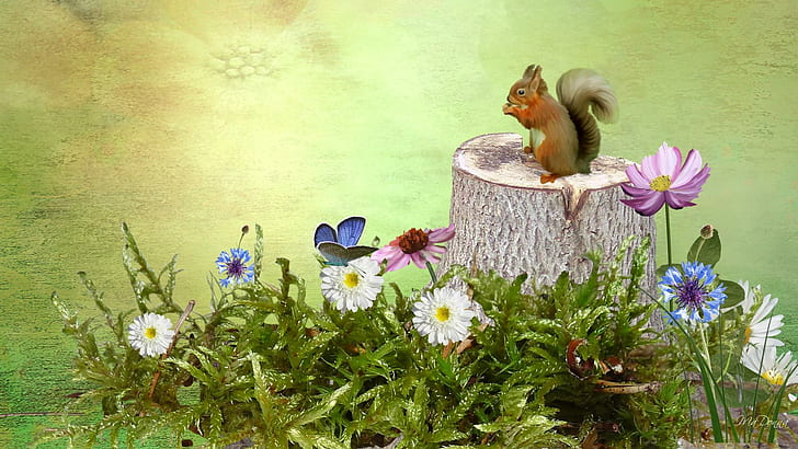 Squirrel On A Stump, firefox persona, field, tree, summer, flowers, HD wallpaper