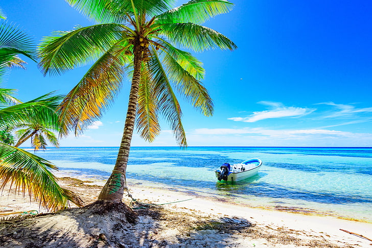 palm tree wallpaper, sand, sea, beach, the sun, palm trees, shore