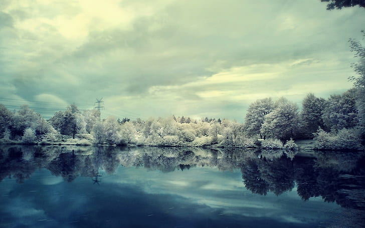 reflection, snow, winter