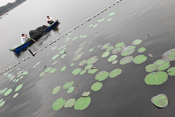Beijing, fishing, lake, high angle view, full length, men, two people