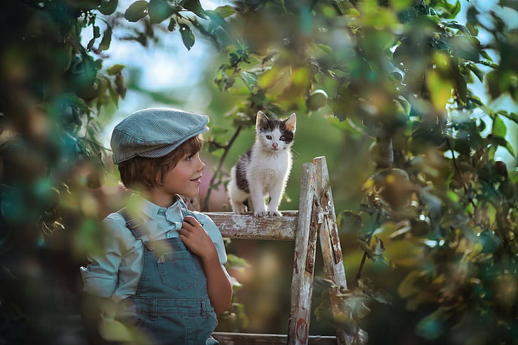 Photography, Child, Cat, Kitten, Little Boy, Pet