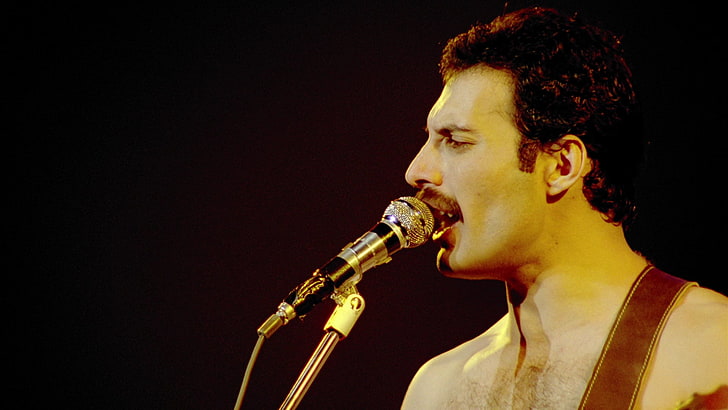 Freddie Mercury 1080P, 2K, 4K, 5K HD wallpapers free download | Wallpaper  Flare
