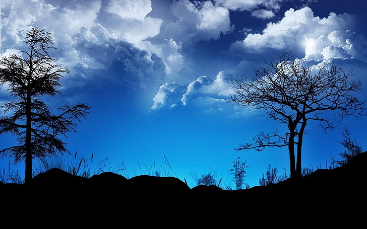 black trees, clouds, sky, night, outlines, blue, nature, silhouette