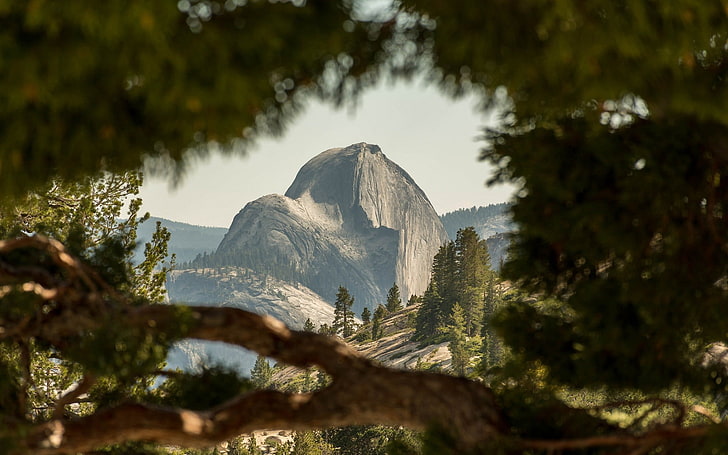 brown mountain, nature, mountains, Yosemite National Park, landscape, HD wallpaper