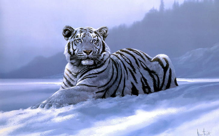 Siberian Tiger Snow Animal, HD wallpaper