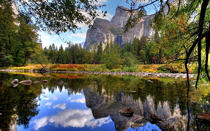 high quality  nature download 1920x1200, reflection, water, HD wallpaper