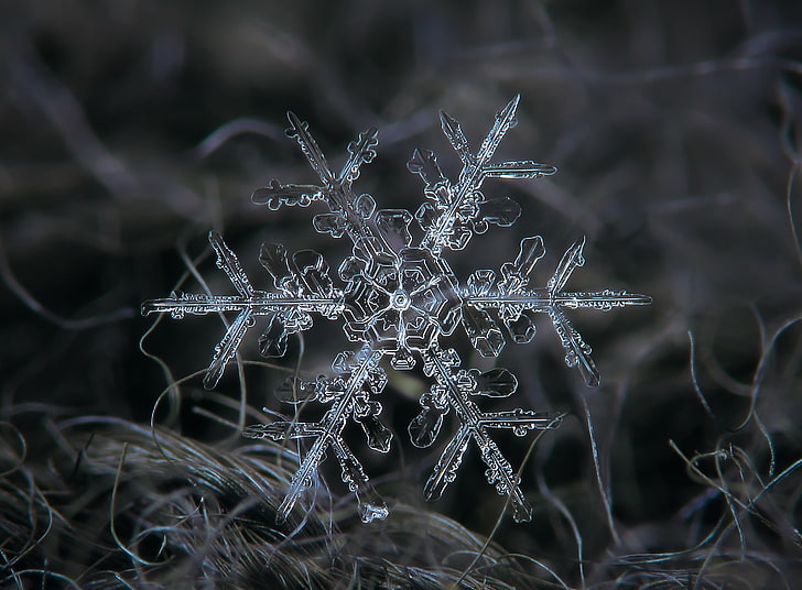 HD wallpaper: Amazing Real Snowflake Macro, Seasons, Winter, Blue, Dark,  Nature | Wallpaper Flare