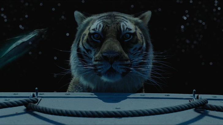 Movie, Life of Pi, Tiger