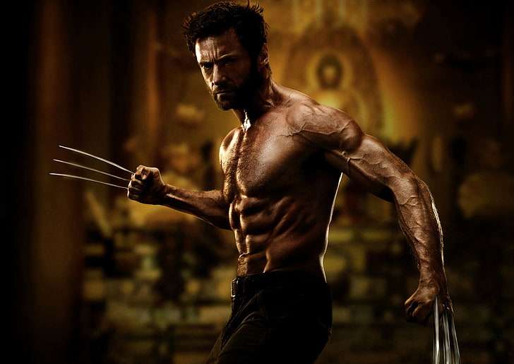 HD wallpaper: Wolverine poster, Hugh Jackman, Logan, The Wolverine,  muscular Build | Wallpaper Flare