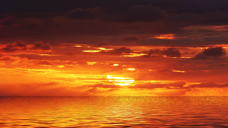 30000 Orange Sunset Pictures  Download Free Images on Unsplash