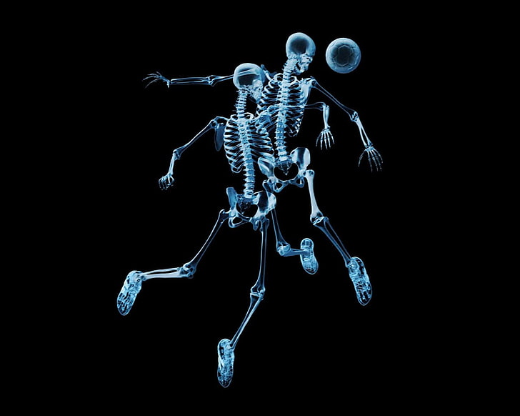 HD wallpaper: two skeleton 3D model