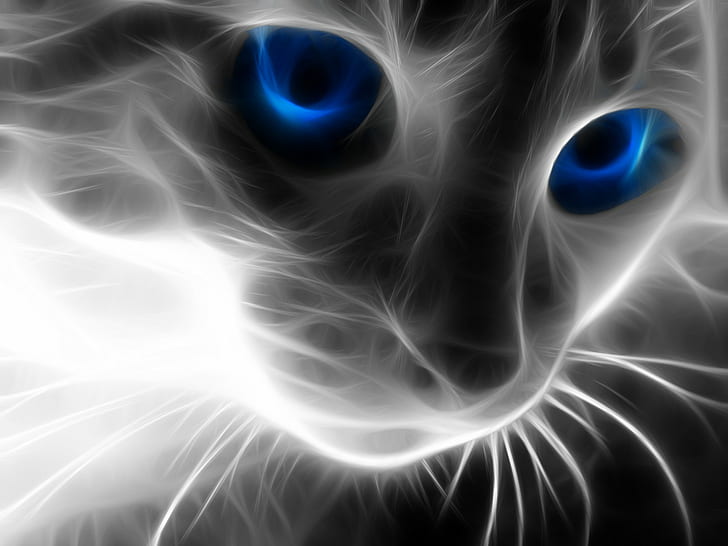 Fractalius, cat, blue eyes, animals, HD wallpaper
