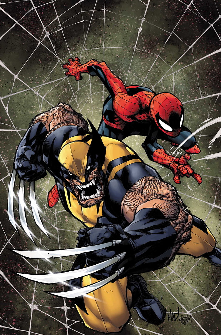 Marvel Wolverine and Spider-man illustration, Marvel Comics, sport, HD wallpaper