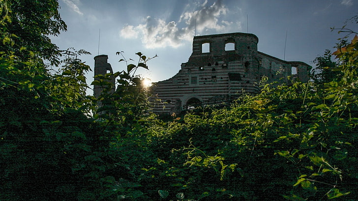 Castles, Janowiec Castle, HD wallpaper