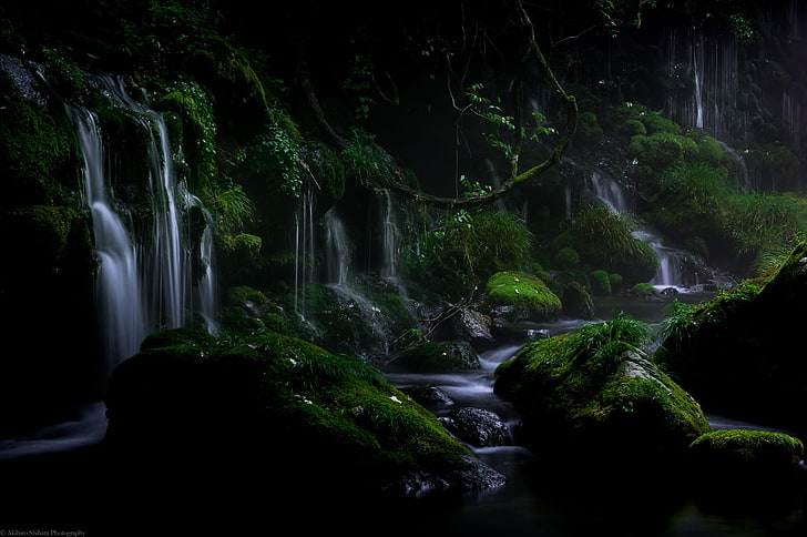 water falls, landscape, nature, Akihiro Shibata, plants, leaves