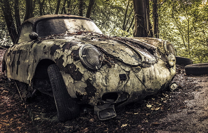 classic white coupe, car, vehicle, wreck, abandoned, tree, mode of transportation