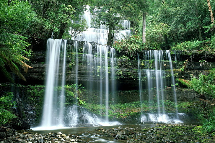 stones, waterfall, forest, Russel Falls, nature, Australia, HD wallpaper