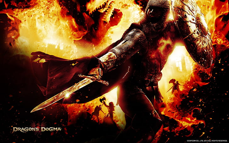 Dragons Dogma Fighter, HD wallpaper
