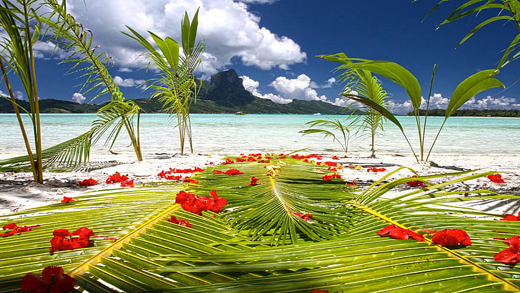 Bora Bora Tahiti Wedding Ceremony Preparations On Beach By Blue Lagoon Polynesia Desktop Background 339304, HD wallpaper