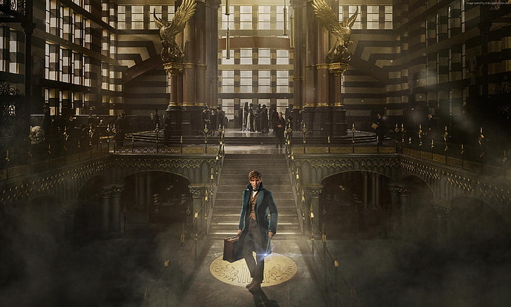 Eddie Redmayne, Fantastic Beasts And Where To Find Them, Best Movies, HD wallpaper