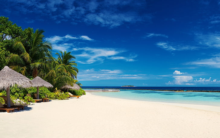 grey bungalows and white sand, beach, summer, palm trees, tropical, HD wallpaper