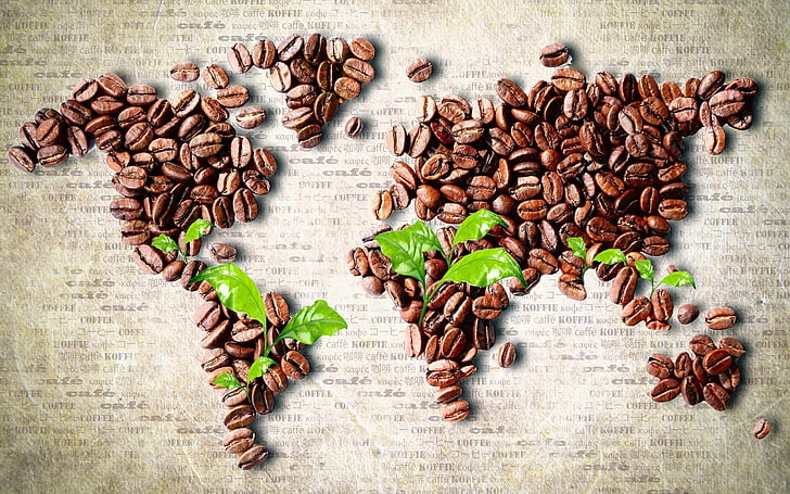 coffee beans world map artwork, leaves, food and drink, large group of objects, HD wallpaper