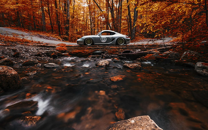 car, Fall, forest, leaves, Long Exposure, nature, Porsche Cayman