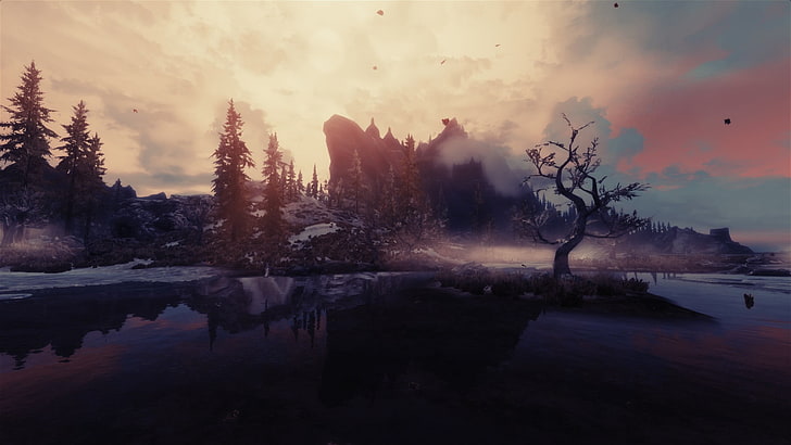 grey tree, The Elder Scrolls V: Skyrim, video games, sunset, water, HD wallpaper
