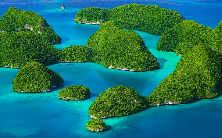 green islands, tropical, Indonesia, beach, sea, forest, limestone, HD wallpaper