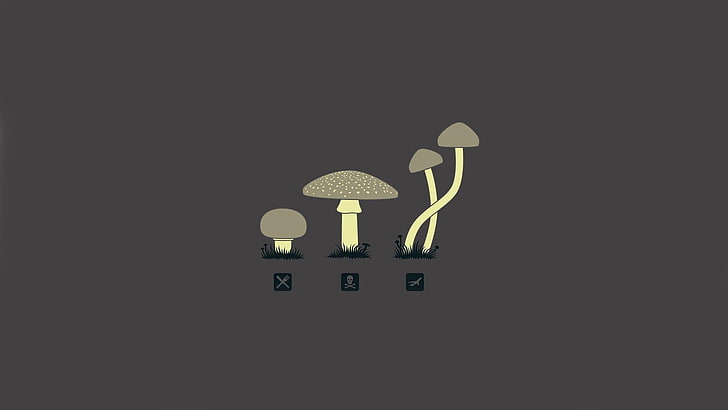 white mushrooms illustration, drugs, minimalism, lighting equipment, HD wallpaper