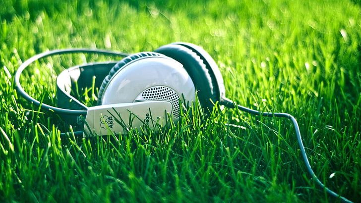 white and black corded over-ear headphones, summer, nature, music, HD wallpaper