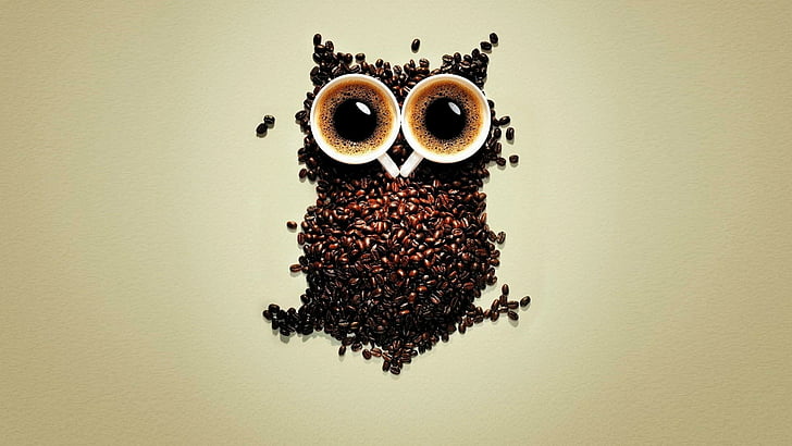 owl, beans, coffee beans, funny, cup, cups, HD wallpaper