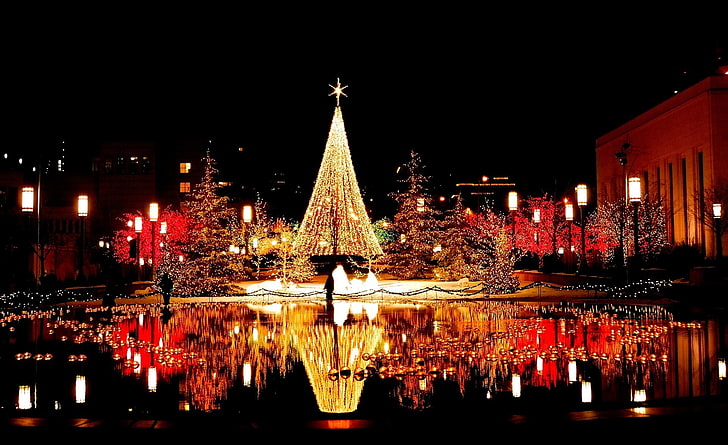 HD wallpaper: Happy New Year, large Christmas tree, Holidays, illuminated,  night | Wallpaper Flare
