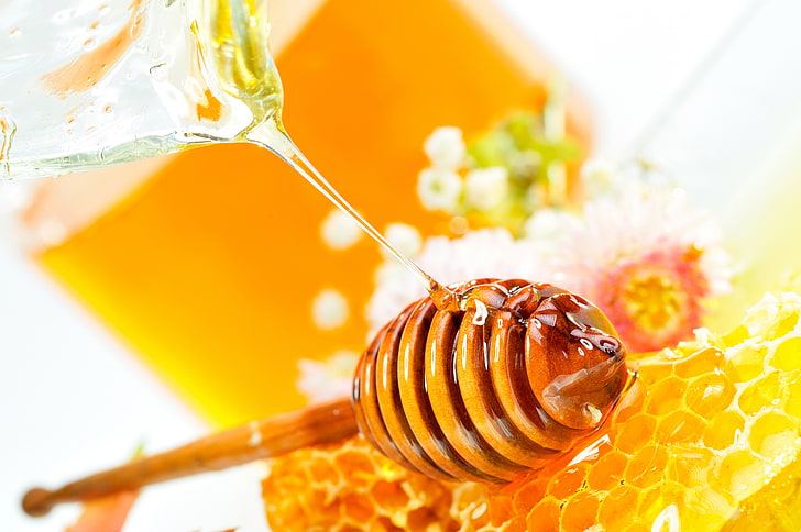 honeycomb, flowers, cell, Honey dipper, bee, insect, yellow, beehive, HD wallpaper