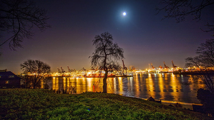 silhouette of trees, city, sky, Moon, grass, lights, harbor, ports