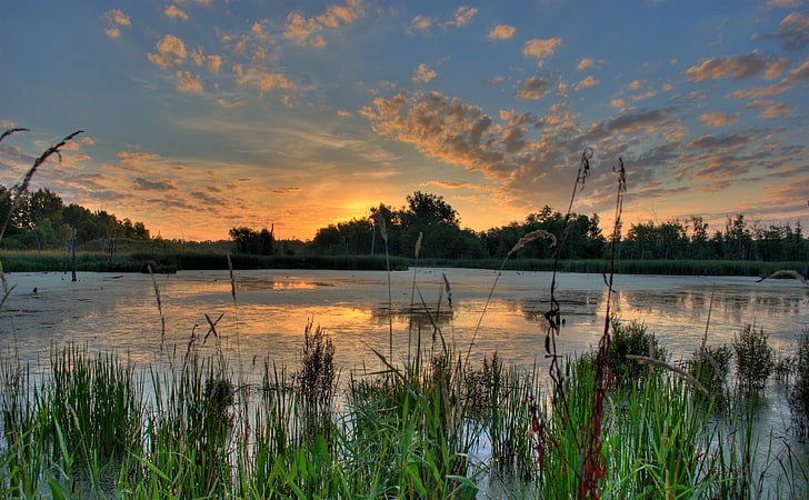 Sunrise Over a Pond in the Minnesota River..., green grass field and body of water