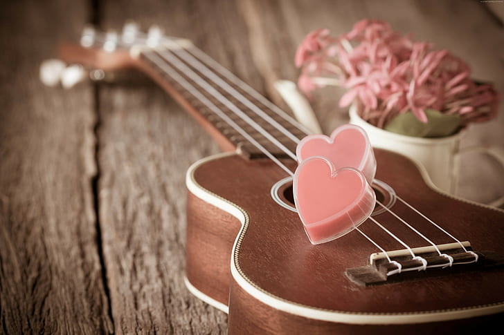 HD wallpaper: romantic, flowers, heart, love, Valentines Day, guitar |  Wallpaper Flare