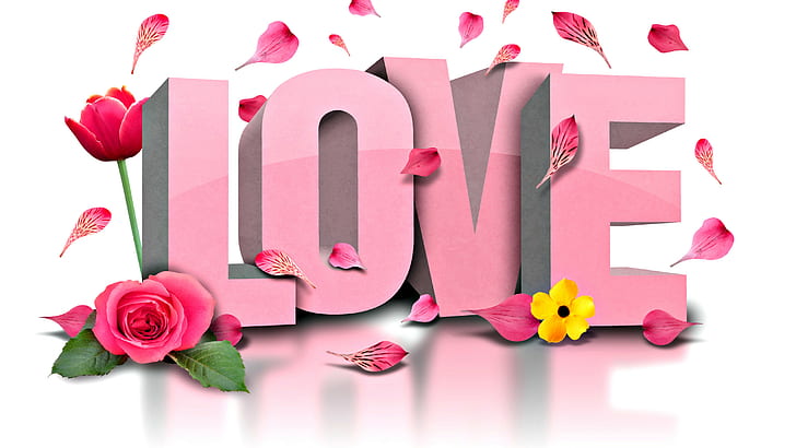 love, images, valentines day pictures, love heart, love flower pictures, HD wallpaper