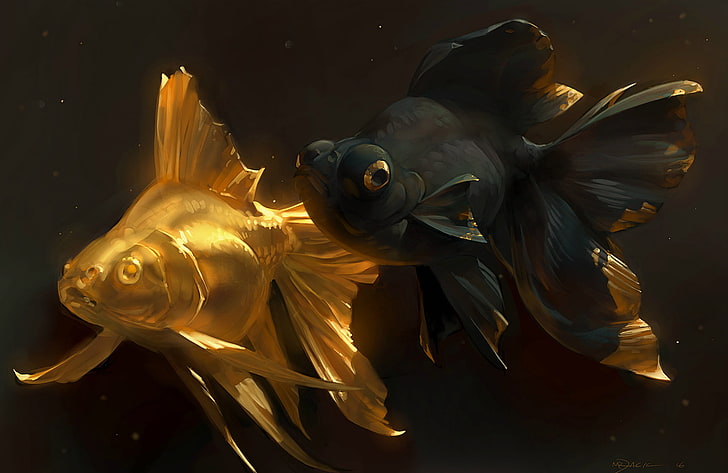 Gold fish 1080P, 2K, 4K, 5K HD wallpapers free download | Wallpaper Flare
