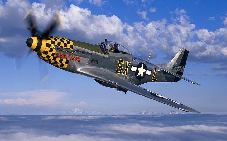 Hd Wallpaper Gray And Yellow Plane P 51 Fighter Mustang Sky North American Wallpaper Flare