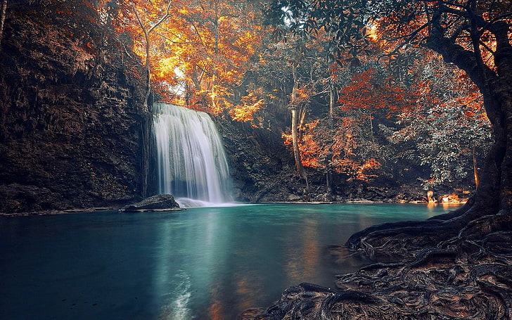 waterfalls and trees, landscape photography of waterfalls, nature