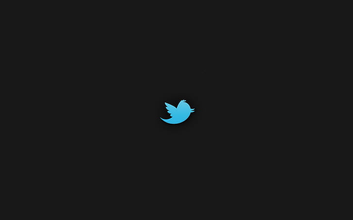 twitter, bird, social network