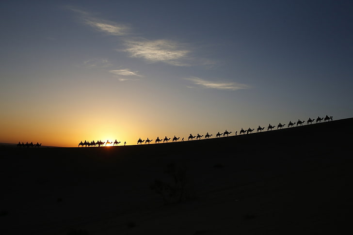 the sky, the sun, clouds, people, desert, Caravan, camels